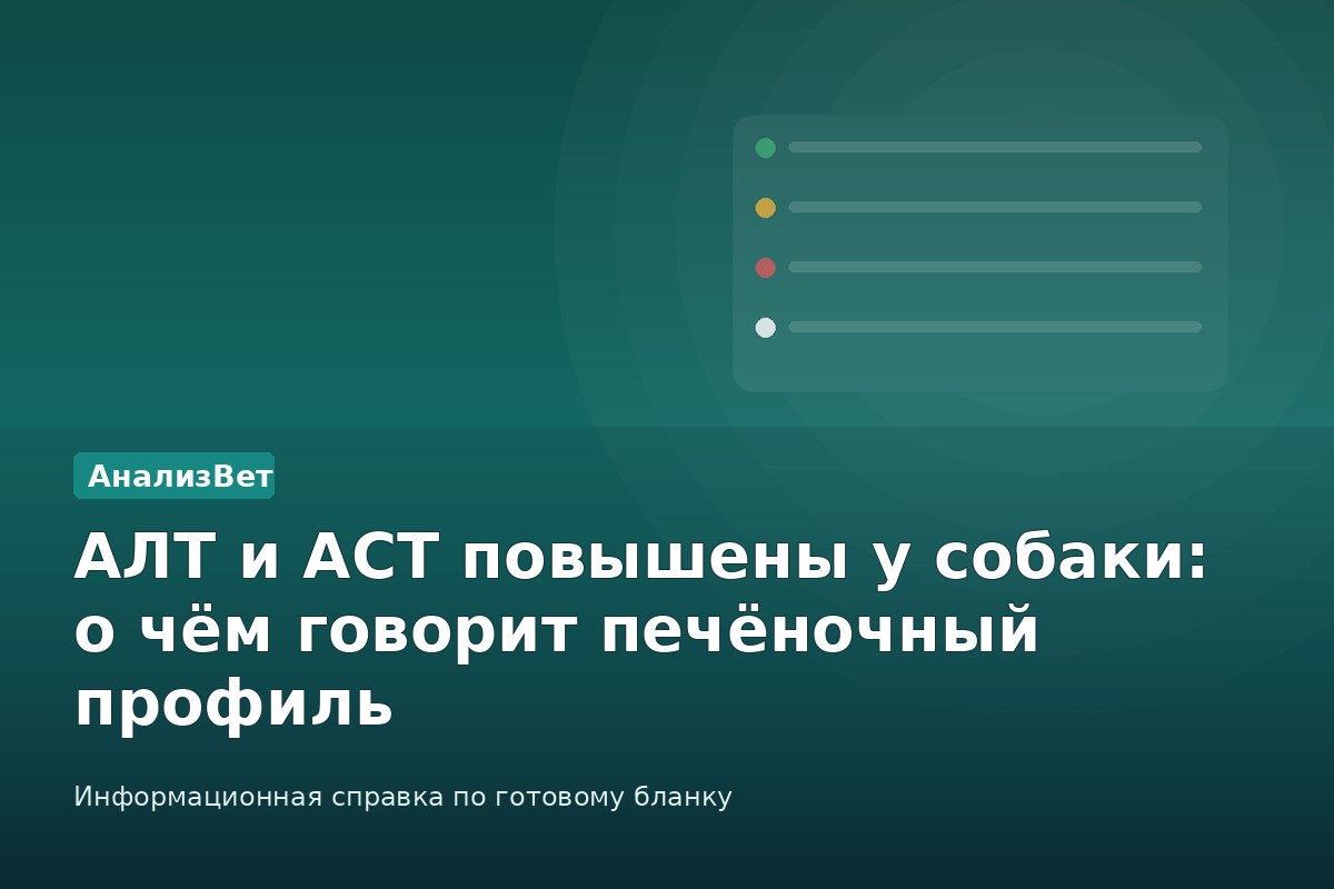 Инфографика АнализВет: АЛТ и АСТ повышены у собаки: о чём говорит печёночный профиль