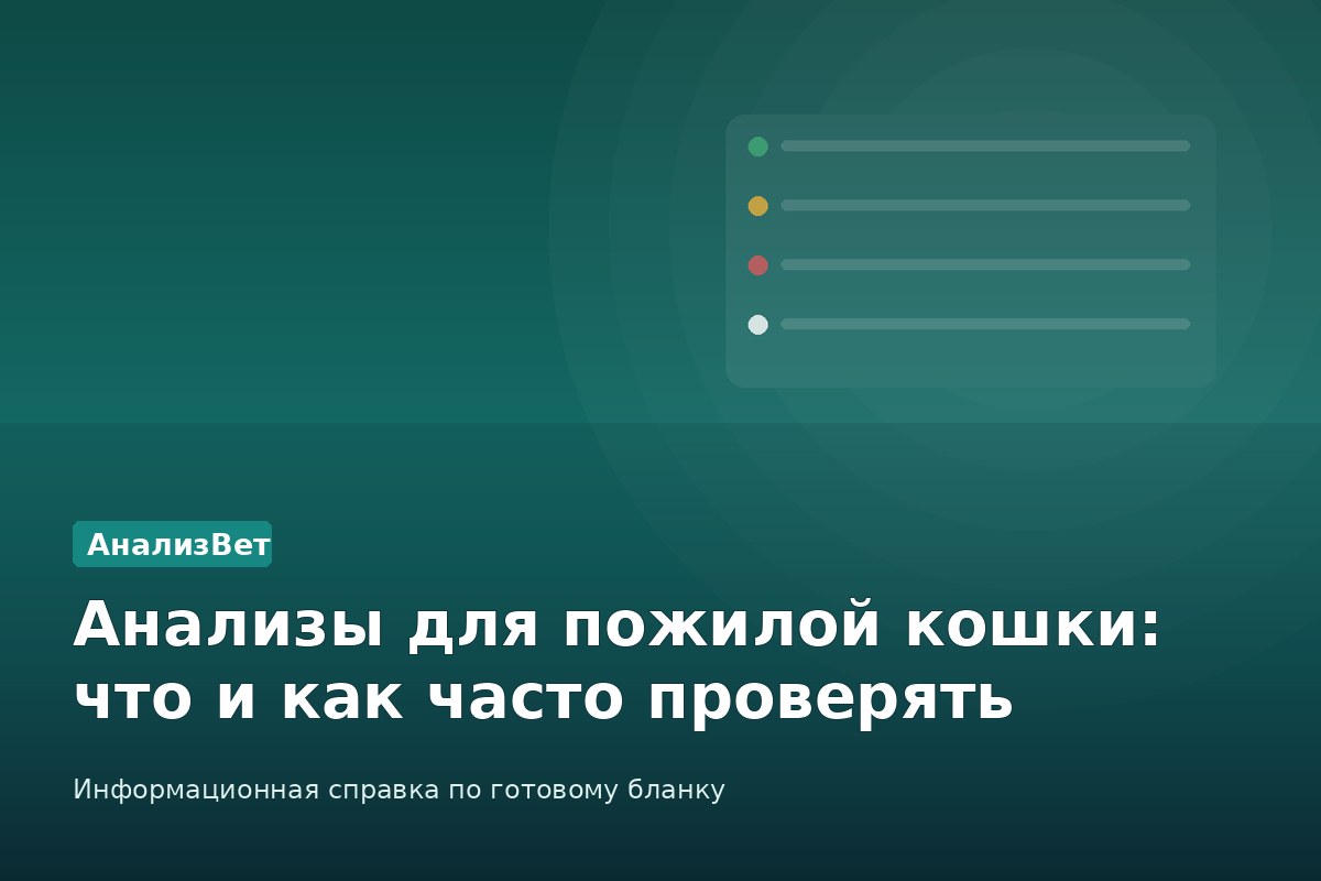 Инфографика АнализВет: Анализы для пожилой кошки: что и как часто проверять
