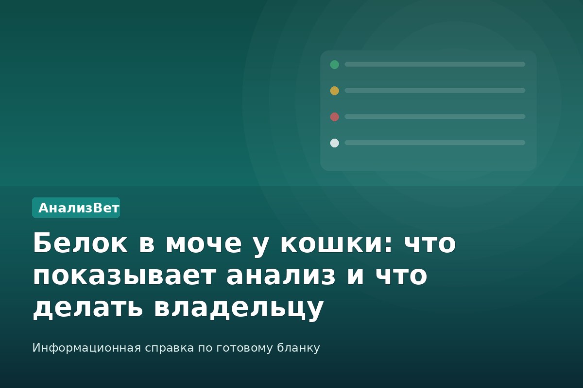 Инфографика АнализВет: Белок в моче у кошки: что показывает анализ и что делать владельцу