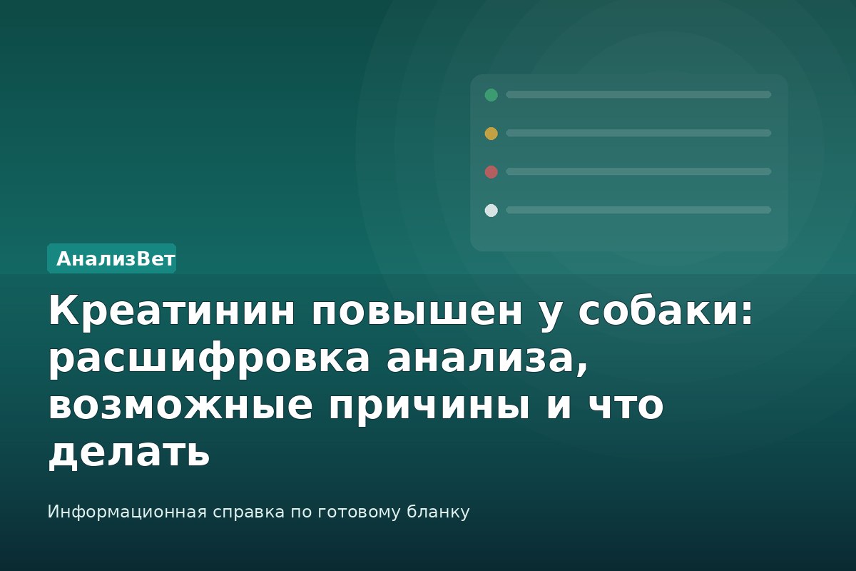 Инфографика АнализВет: Креатинин повышен у собаки: расшифровка анализа, возможные причины и что делать