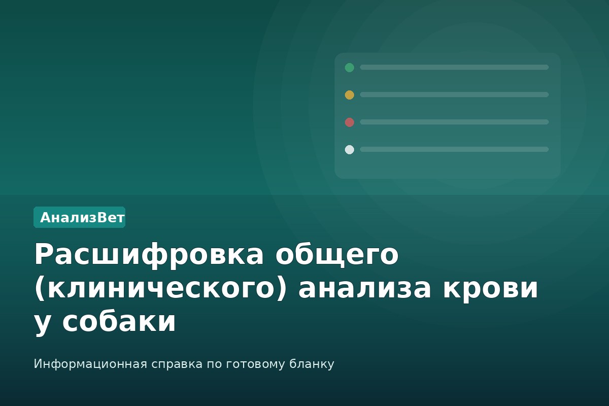 Инфографика АнализВет: Расшифровка общего (клинического) анализа крови у собаки