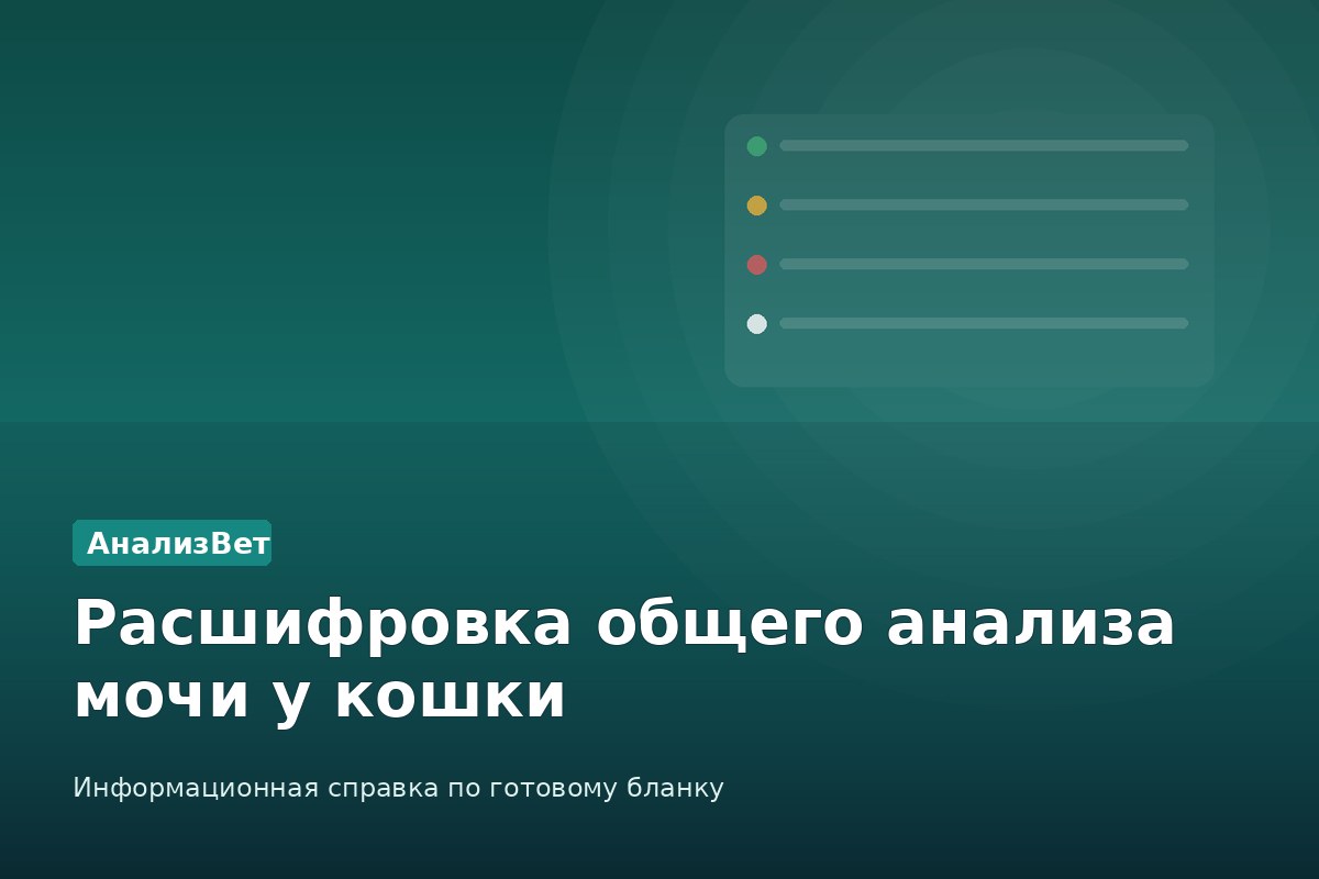 Инфографика АнализВет: Расшифровка общего анализа мочи у кошки