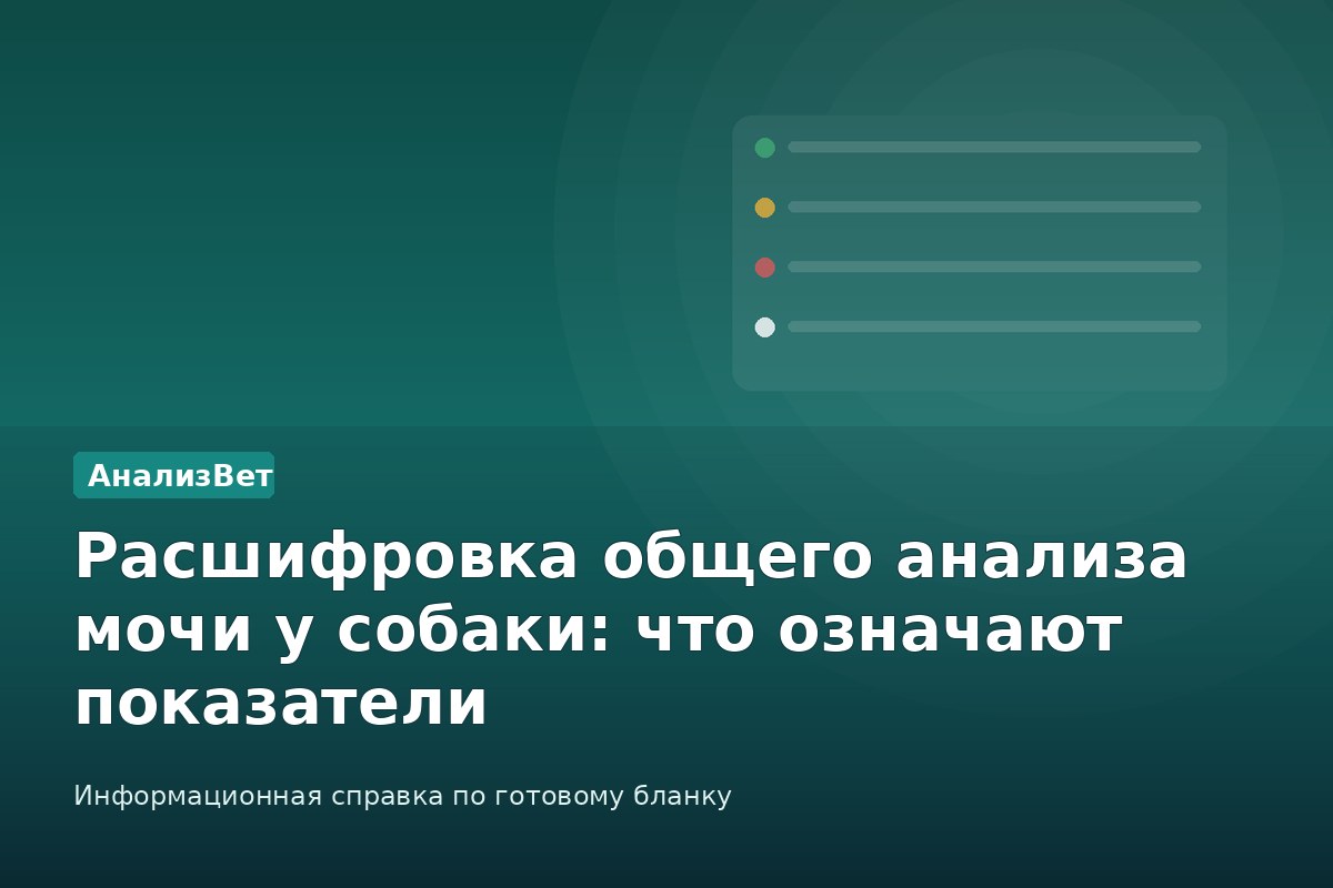 Инфографика АнализВет: Расшифровка общего анализа мочи у собаки: что означают показатели