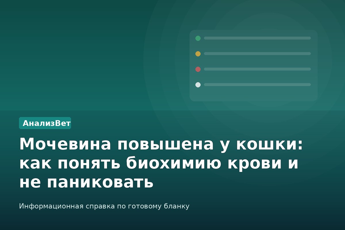 Инфографика АнализВет: Мочевина повышена у кошки: как понять биохимию крови и не паниковать