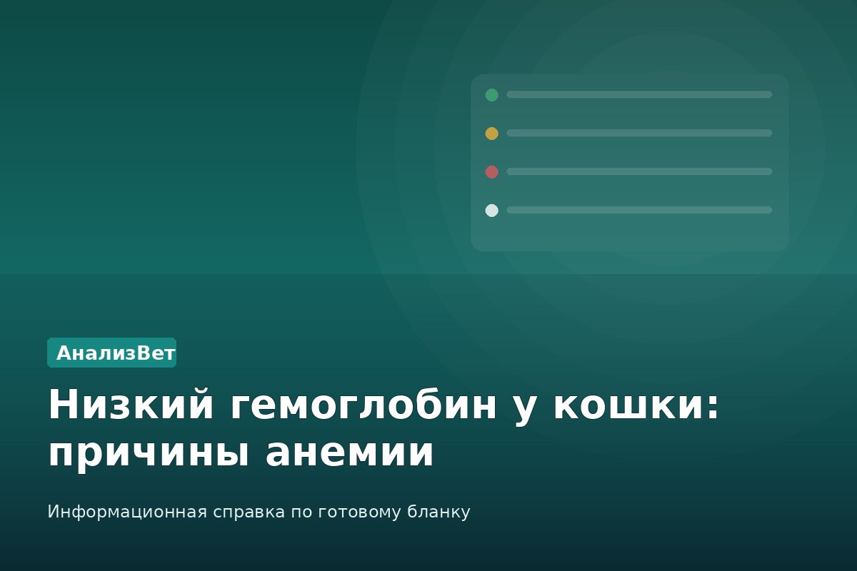Инфографика АнализВет: Низкий гемоглобин у кошки: причины анемии