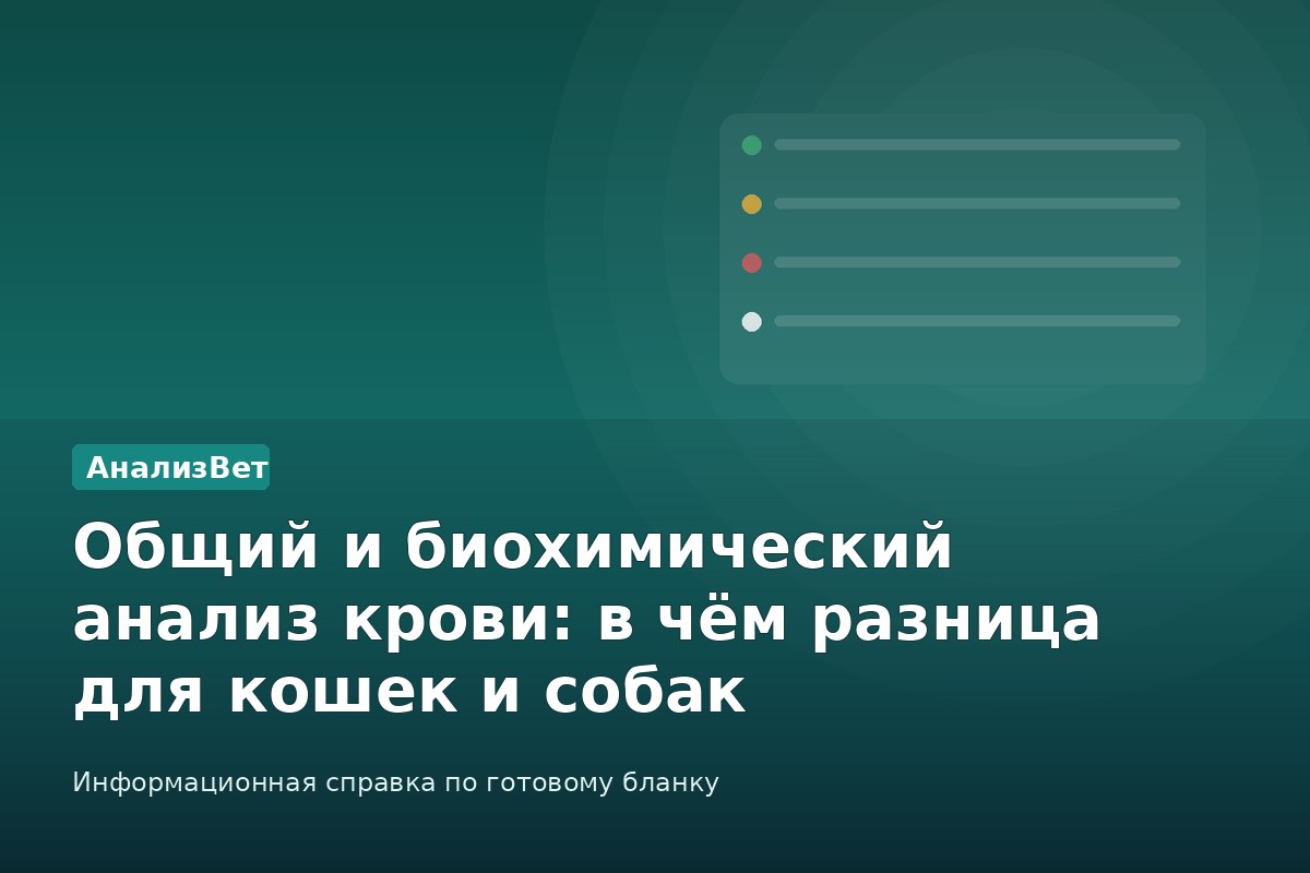 Инфографика АнализВет: Общий и биохимический анализ крови: в чём разница для кошек и собак