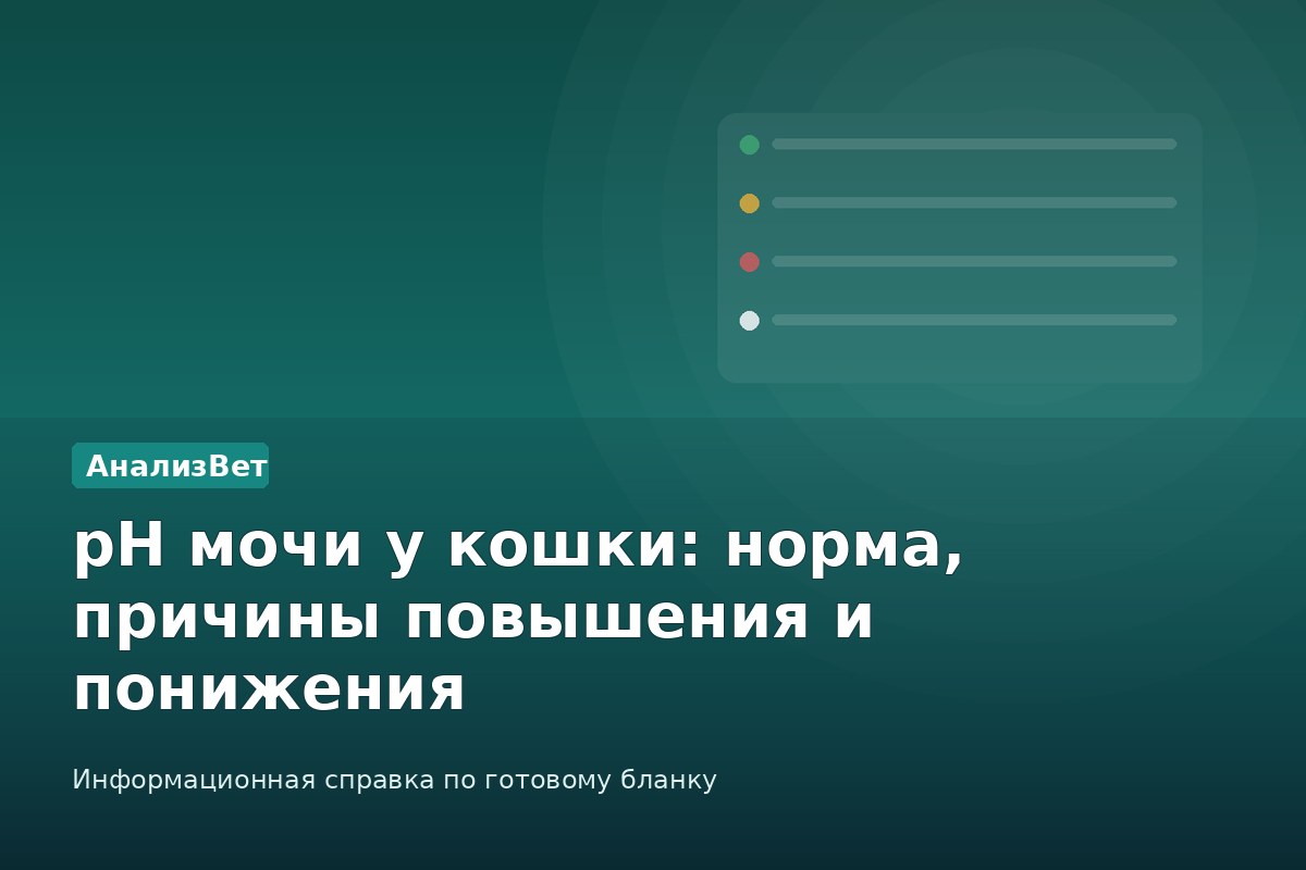 Инфографика АнализВет: pH мочи у кошки: норма, причины повышения и понижения
