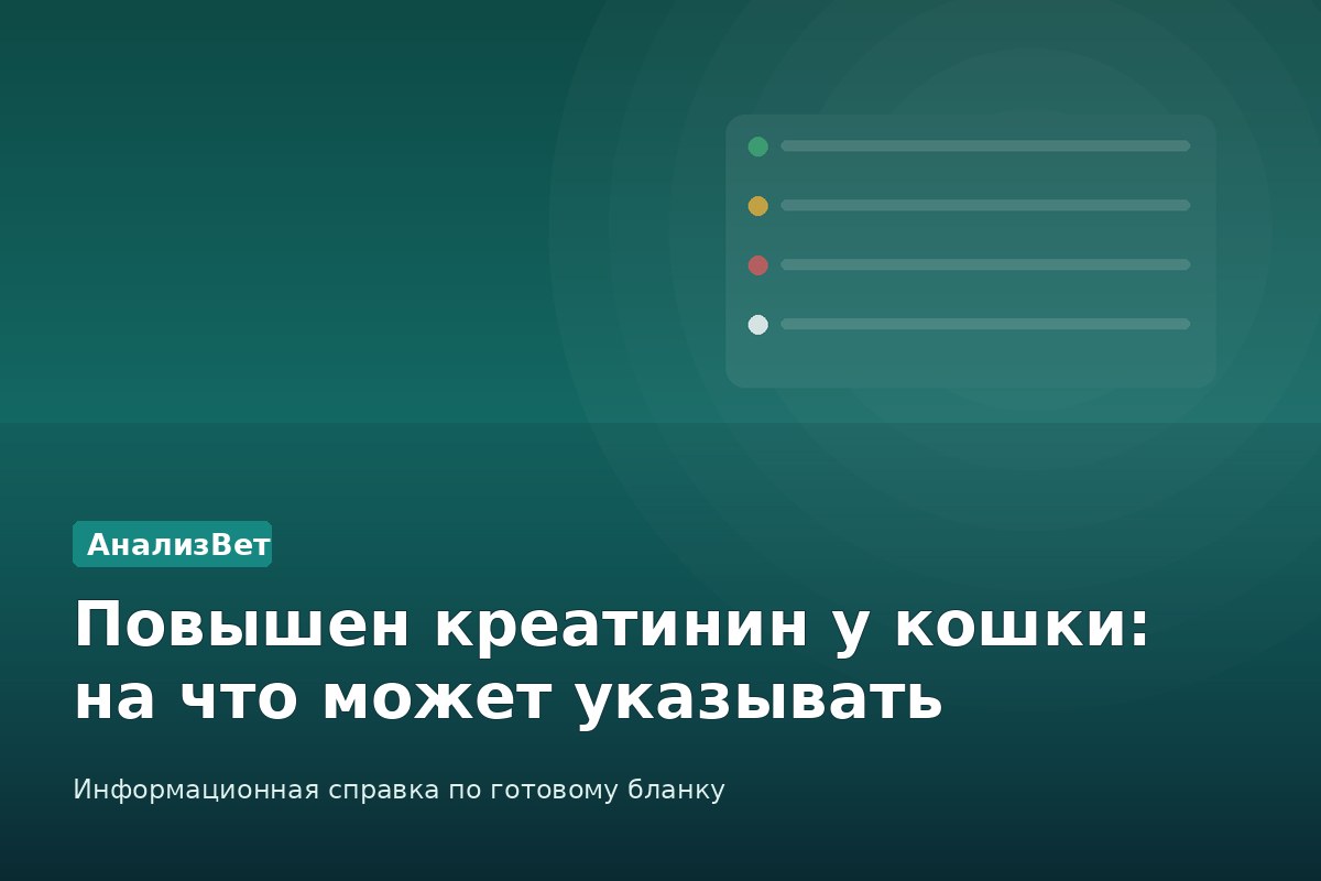 Инфографика АнализВет: Повышен креатинин у кошки: на что может указывать