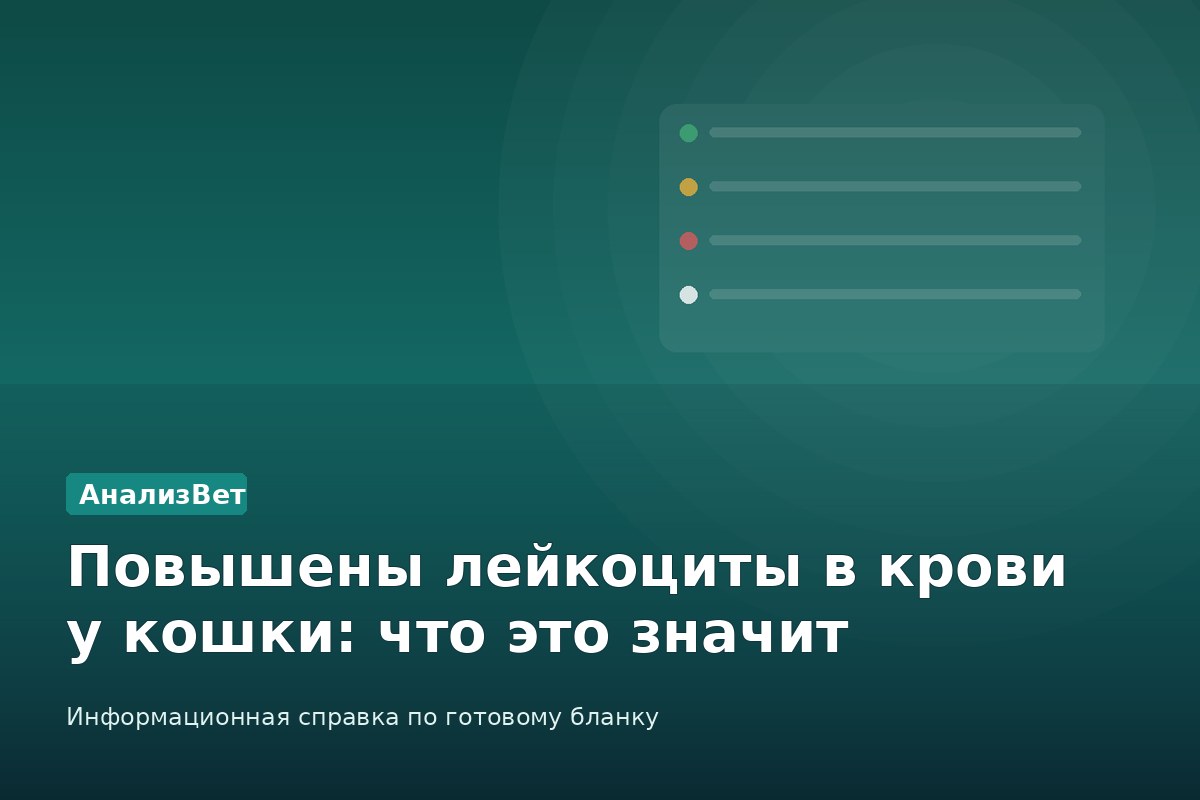 Инфографика АнализВет: Повышены лейкоциты в крови у кошки: что это значит