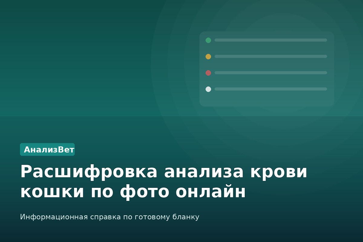 Инфографика АнализВет: Расшифровка анализа крови кошки по фото онлайн
