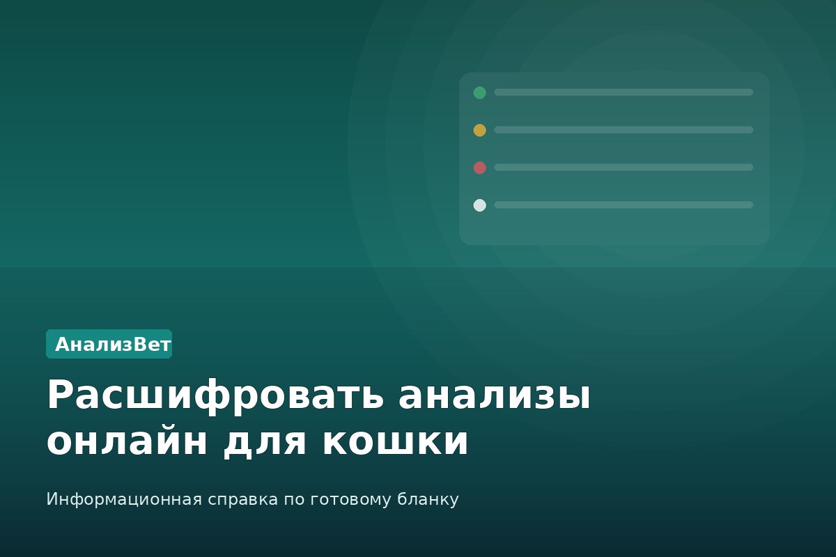 Инфографика АнализВет: Расшифровать анализы онлайн для кошки