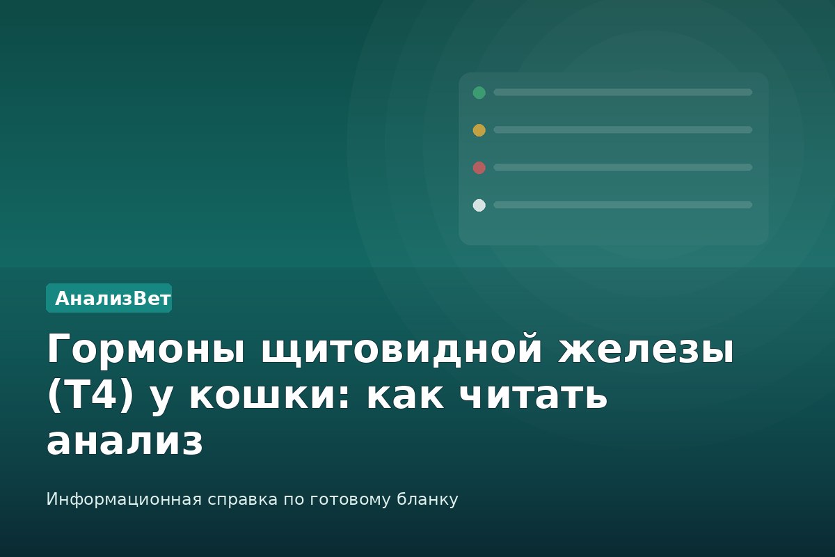 Инфографика АнализВет: Гормоны щитовидной железы (Т4) у кошки: как читать анализ