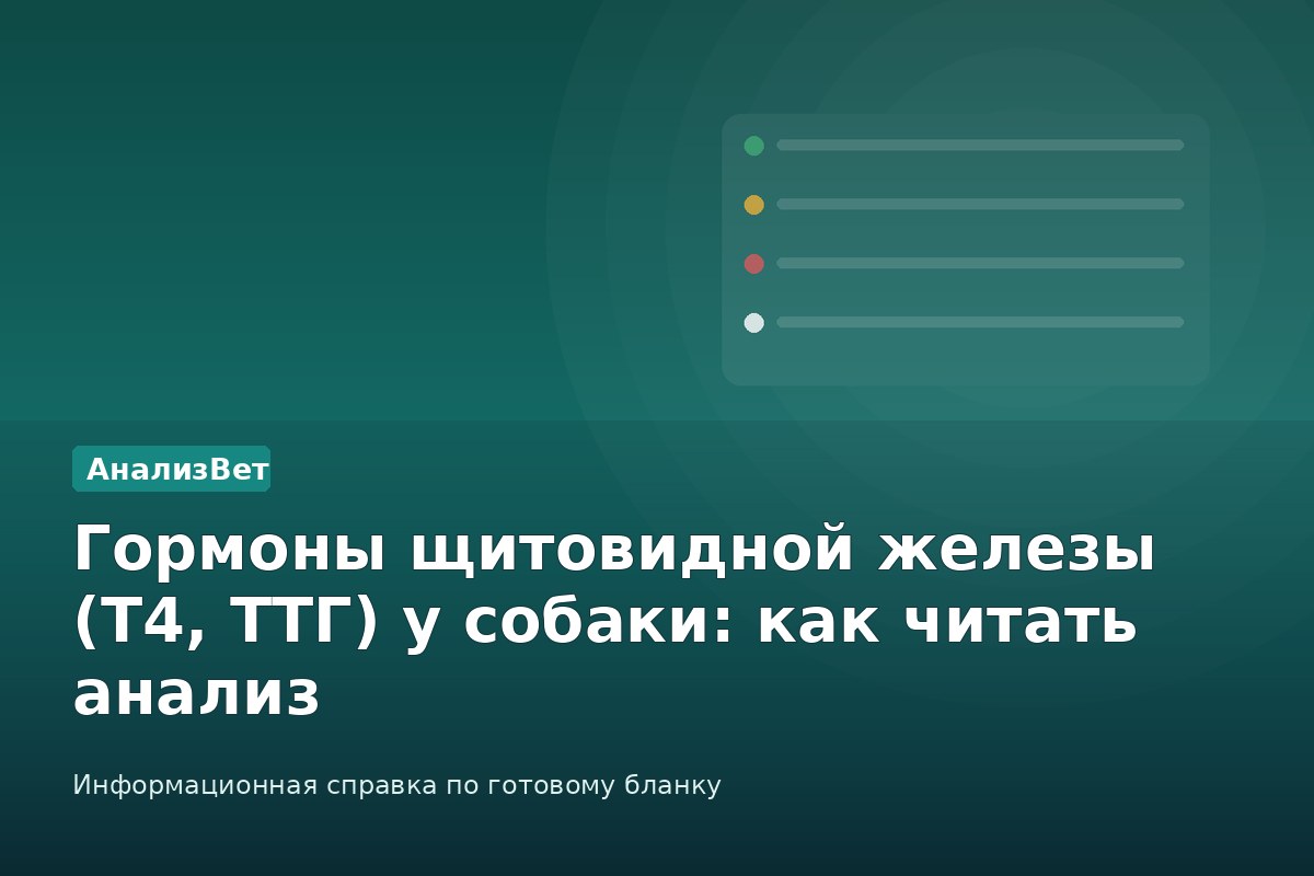 Инфографика АнализВет: Гормоны щитовидной железы (Т4, ТТГ) у собаки: как читать анализ