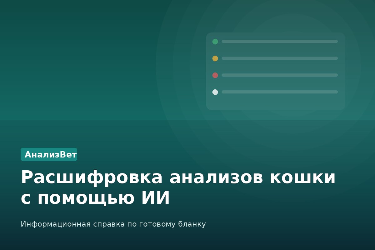 Инфографика АнализВет: Расшифровка анализов кошки с помощью ИИ