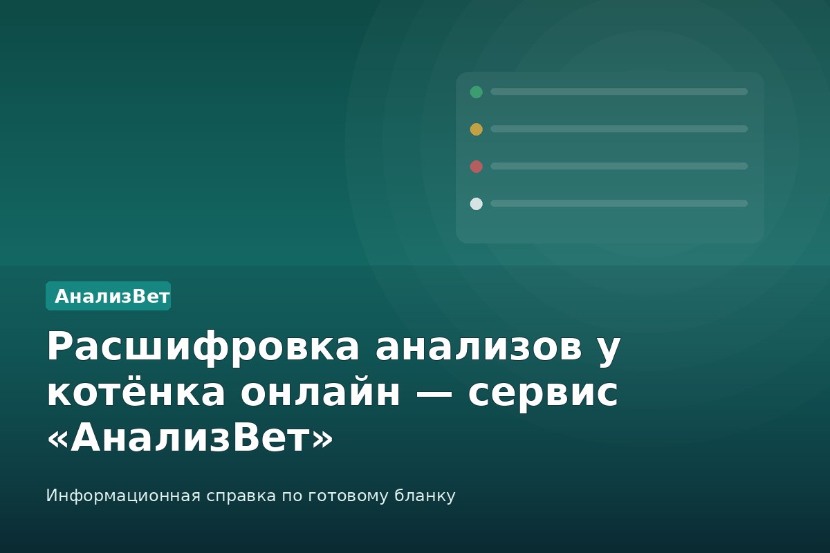Инфографика АнализВет: Расшифровка анализов у котёнка онлайн — сервис «АнализВет»