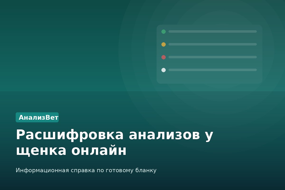Инфографика АнализВет: Расшифровка анализов у щенка онлайн