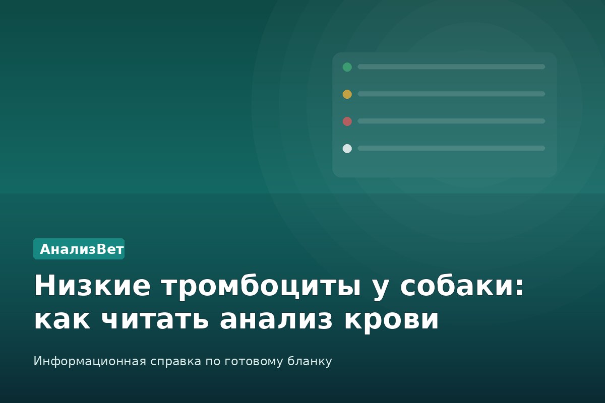 Инфографика АнализВет: Низкие тромбоциты у собаки: как читать анализ крови